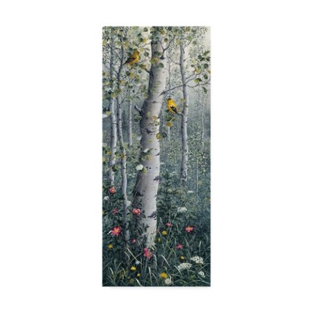 Trademark Fine Art Jeff Tift 'American Goldfinch' Canvas Art, 14x32 ALI30248-C1432GG